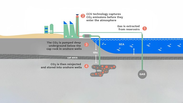 NFE solution infographic